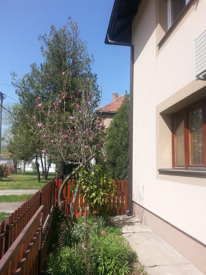 Sweet Dreams Apartment Arandelovac Zewnętrze zdjęcie