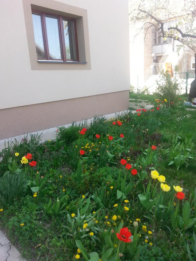 Sweet Dreams Apartment Arandelovac Zewnętrze zdjęcie